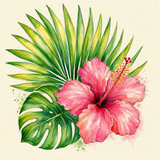 Tropical & Beach